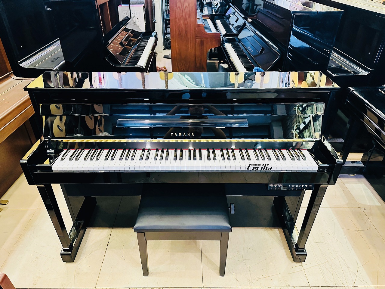 Tìm hiểu về đàn Piano Yamaha DUP 20 PE
