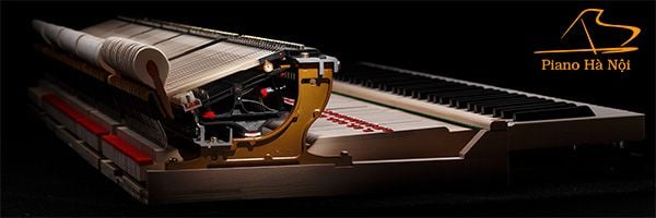 Thiết kế và cấu trúc của Kawai GL30