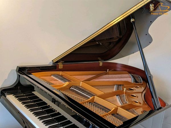 Đặc Điểm Nổi Bật Của Kawai GX2