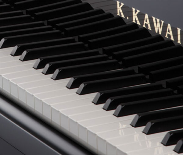 Giới thiệu về Kawai GX6