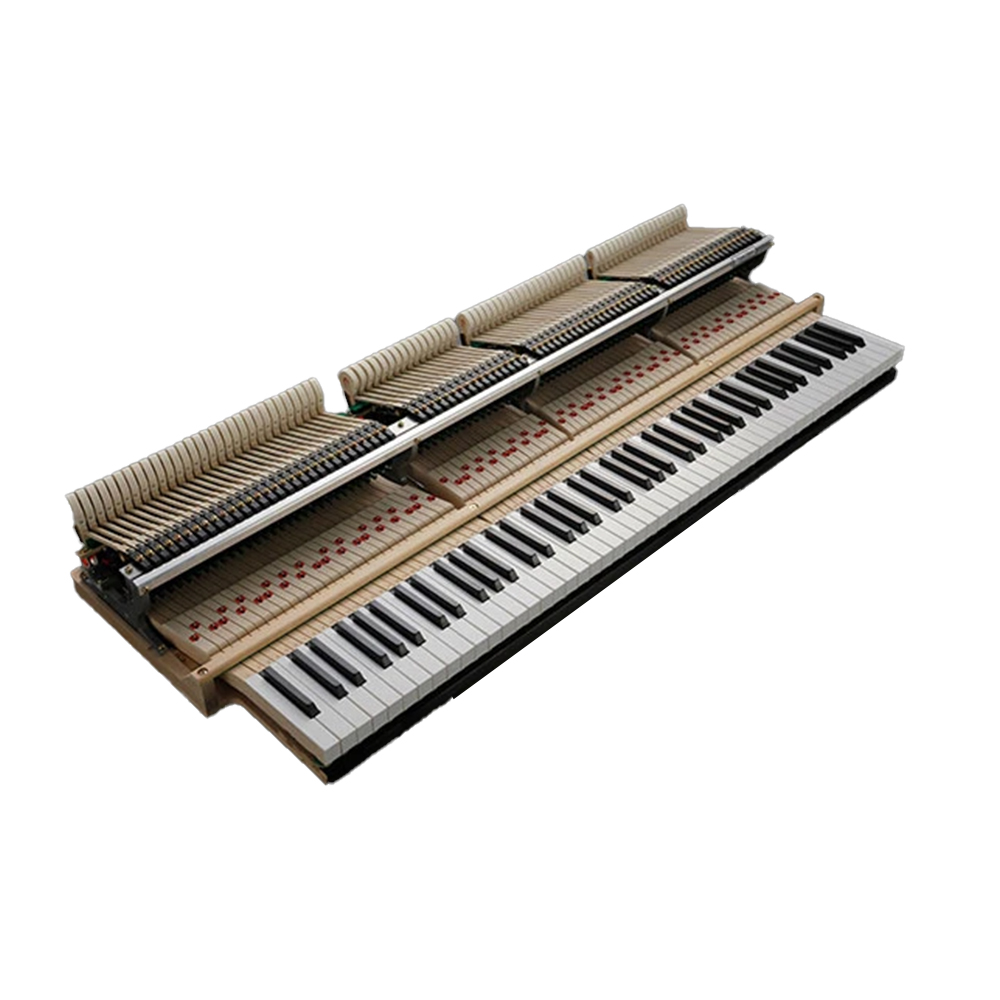 So sánh Kawai K800 với các mẫu đàn piano khác