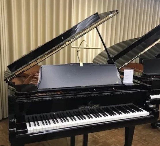 Giới thiệu về đàn piano Kawai SK2