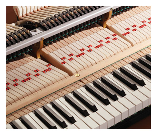 Đánh giá tổng quan về đàn piano Kawai SK5