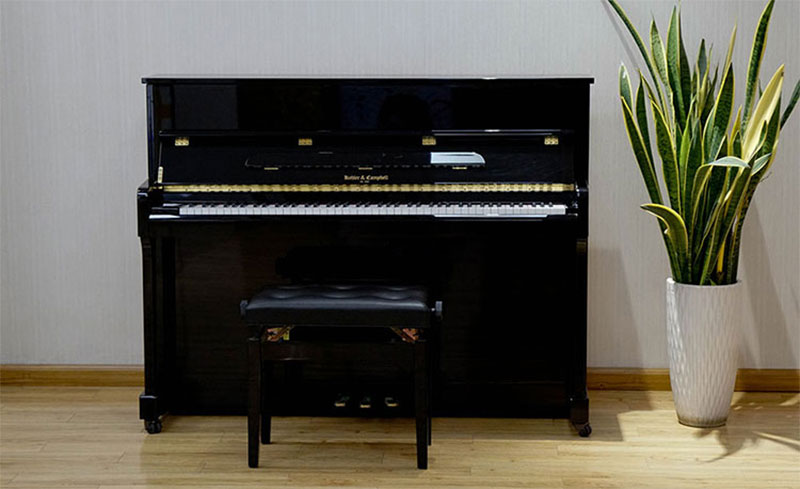 Lợi ích khi sử dụng đàn piano Kohler