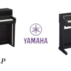 Piano Điện Yamaha CLP 50: Đánh Giá Chất Lượng Âm Thanh Và Tính Năng Học Tập Năm 2025