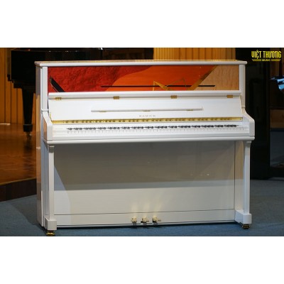 Tính năng nổi bật của Samick J310B/WHHP