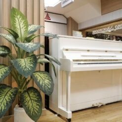 Samick JS115D/EBHP: Đánh Giá Âm Thanh Và Thiết Kế Đàn Guitar Điện Chất Lượng 2025