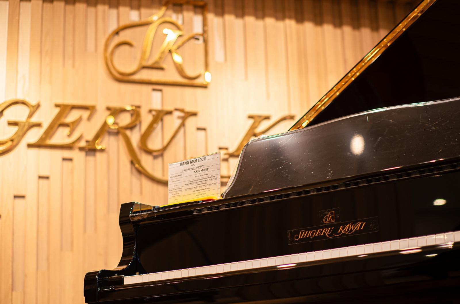 Steinway Biểu Tượng Của Đàn Piano Cơ Cao Cấp