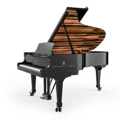 Steinway: Khám Phá Âm Thanh Đỉnh Cao Và Giá Trị Nghệ Thuật Của Đàn Piano Cổ Điển