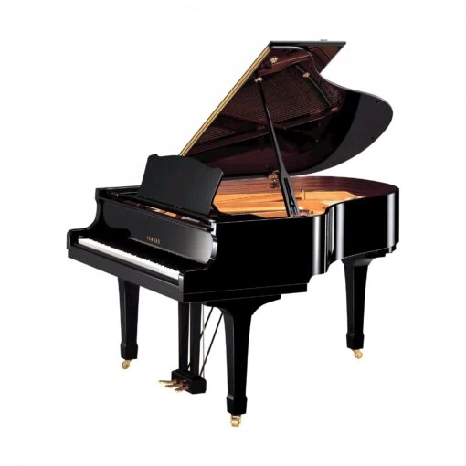 Yamaha Grand C2 PE: Đàn Piano Chất Lượng Cao Dành Cho Người Mới Bắt Đầu Năm 2025