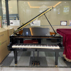 Yamaha Grand C3 PE: Đánh Giá Chi Tiết Đàn Piano Chất Lượng Cao Năm 2025