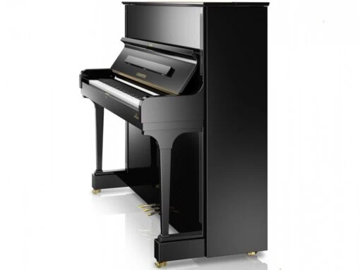 Yamaha Grand C6 PE: Đặc Điểm, Chất Lượng Âm Thanh Và Lý Do Nên Mua Năm 2025