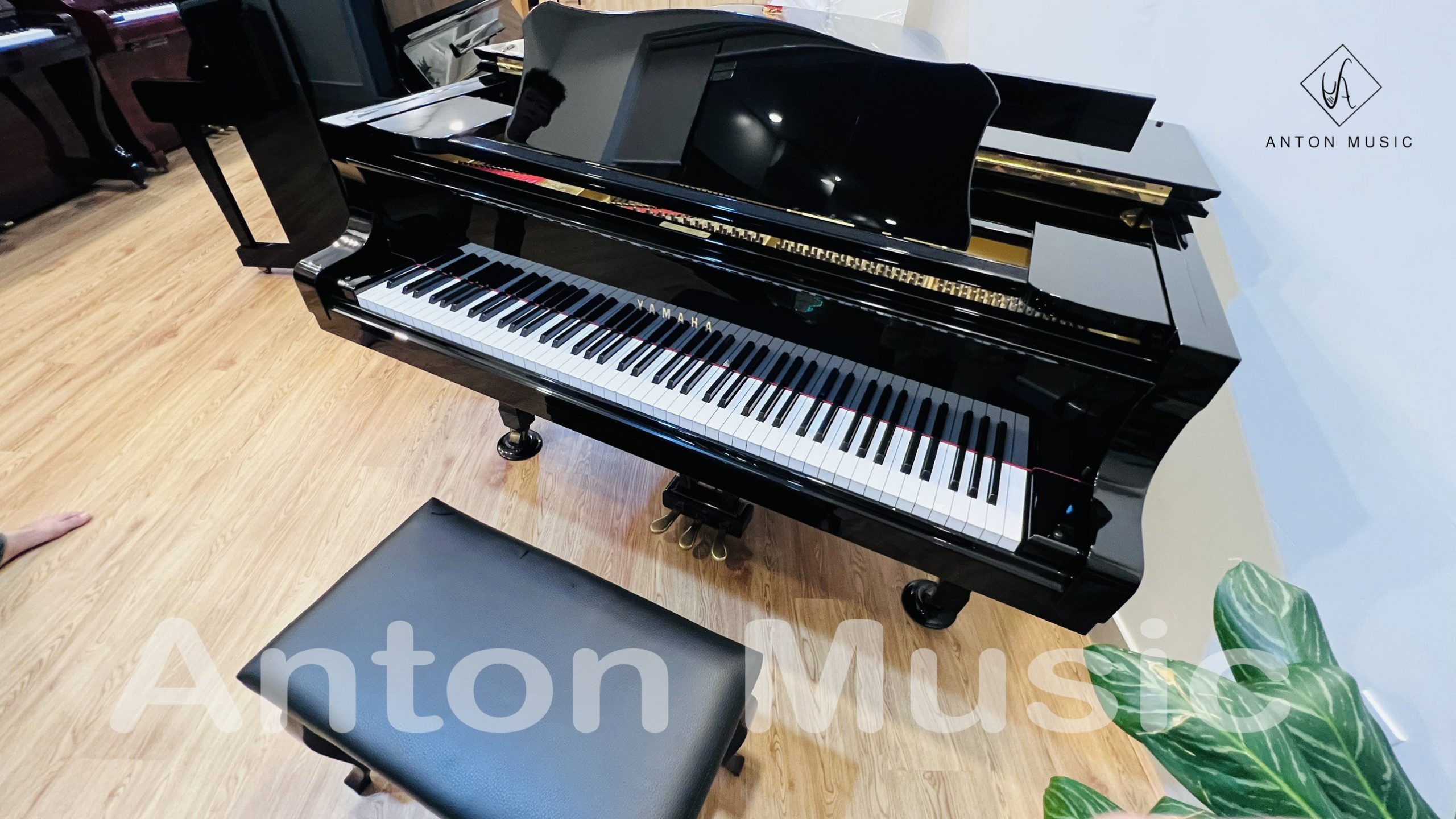 Giới thiệu về đàn piano Yamaha Grand C7