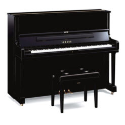 Yamaha YUS1 PE: Đánh Giá Chi Tiết Về Đàn Guitar Điện Chất Lượng Cao 2025
