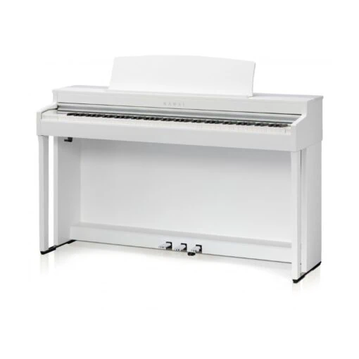 Đàn Piano Điện Kawai CN 301