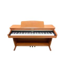 Đàn Piano Điện Kawai CN 41