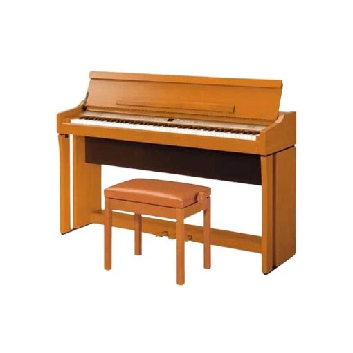 Đàn Piano Điện Kawai L5