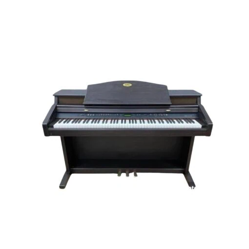 Đàn Piano Điện Kawai PW 1000