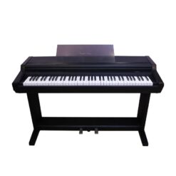 Đàn Piano Điện Kawai PW 170 M
