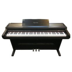 Đàn Piano Điện Kawai PW 300