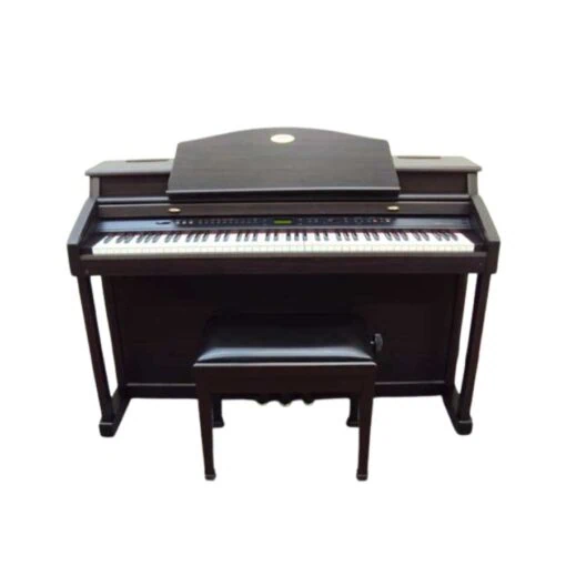 Đàn Piano Điện Kawai PW 9