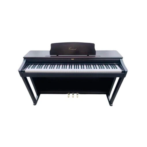 Đàn Piano Điện Korg C 505