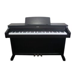 Đàn Piano Điện Kawai PN 250
