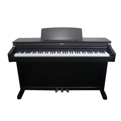 Đàn Piano Điện Kawai PN 250