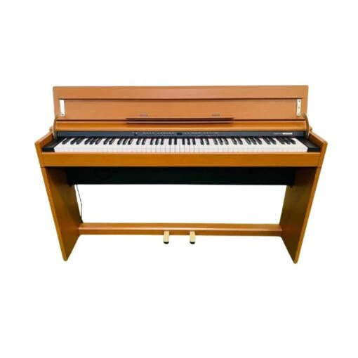 Đàn Piano Điện Roland DP 1000