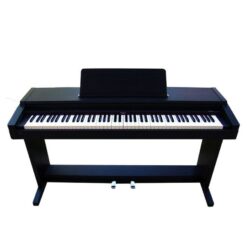 Đàn Piano Điện Roland HP 1700
