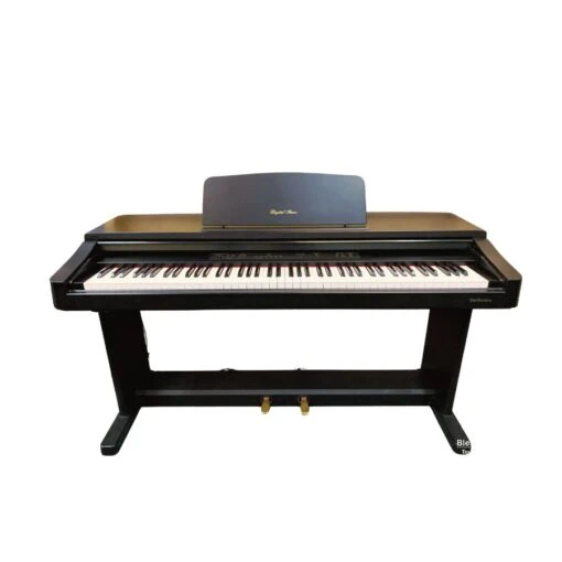Đàn Piano Điện Technics SX PX 111