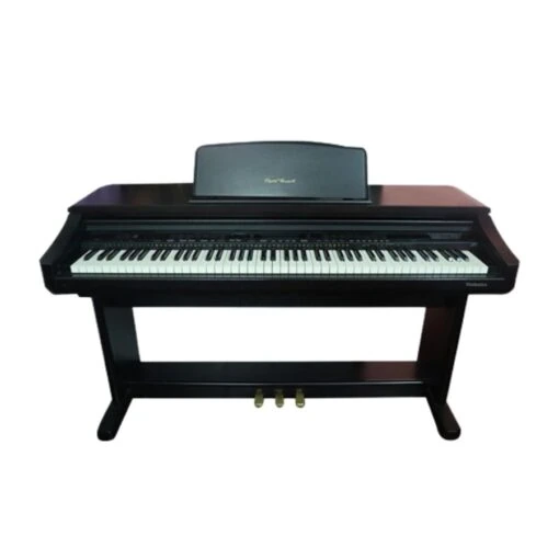 Đàn Piano Điện Technics SX PR 305