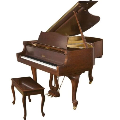 Đàn Piano Essex EGP-155F