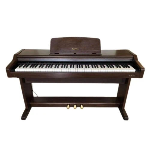 Đàn Piano Điện Technics PX 71