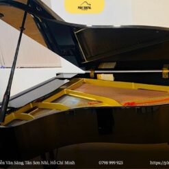 Đàn piano Yamaha G5E