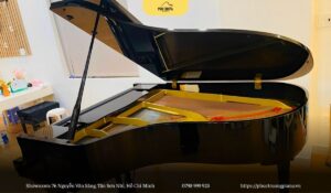 Đàn piano Yamaha G5E