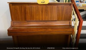 Yamaha W101 