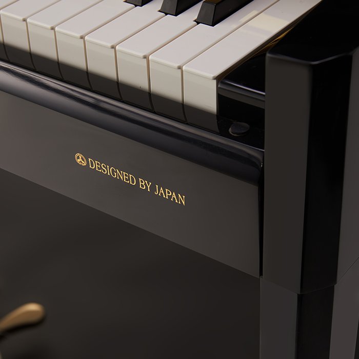 Giới thiệu về Piano Apollo A6 (BL)