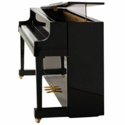 Piano Apollo AU50: Hướng Dẫn Chơi Đàn Piano Điện Để Trở Thành Nghệ Sĩ Âm Nhạc