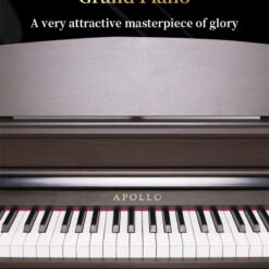 Piano Apollo DP-260 (BL): Đặc Điểm, Tính Năng Và Lợi Ích Cho Người Mới Bắt Đầu