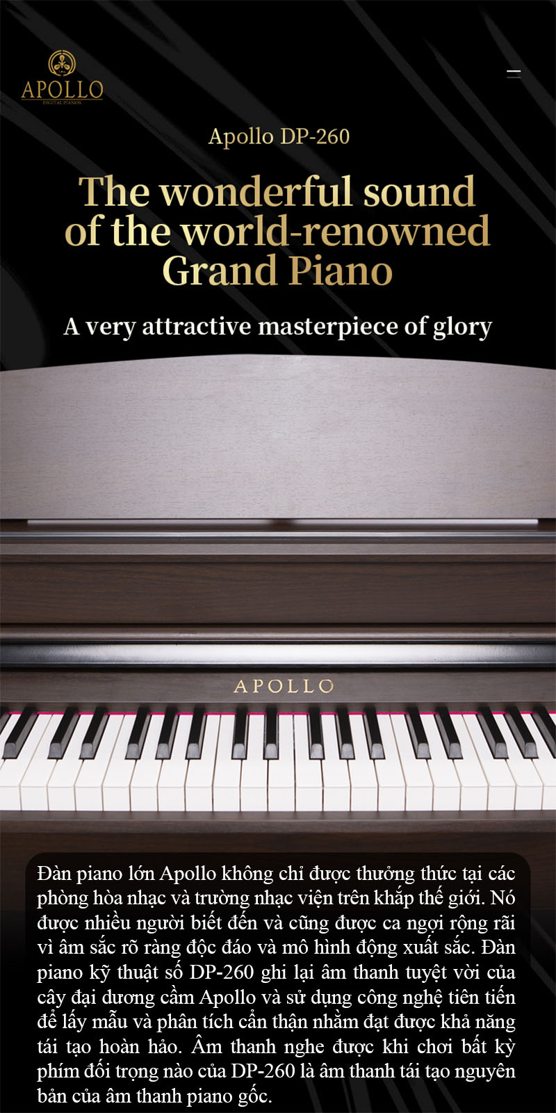 Các thông số kỹ thuật của Piano Apollo DP260 (BL)