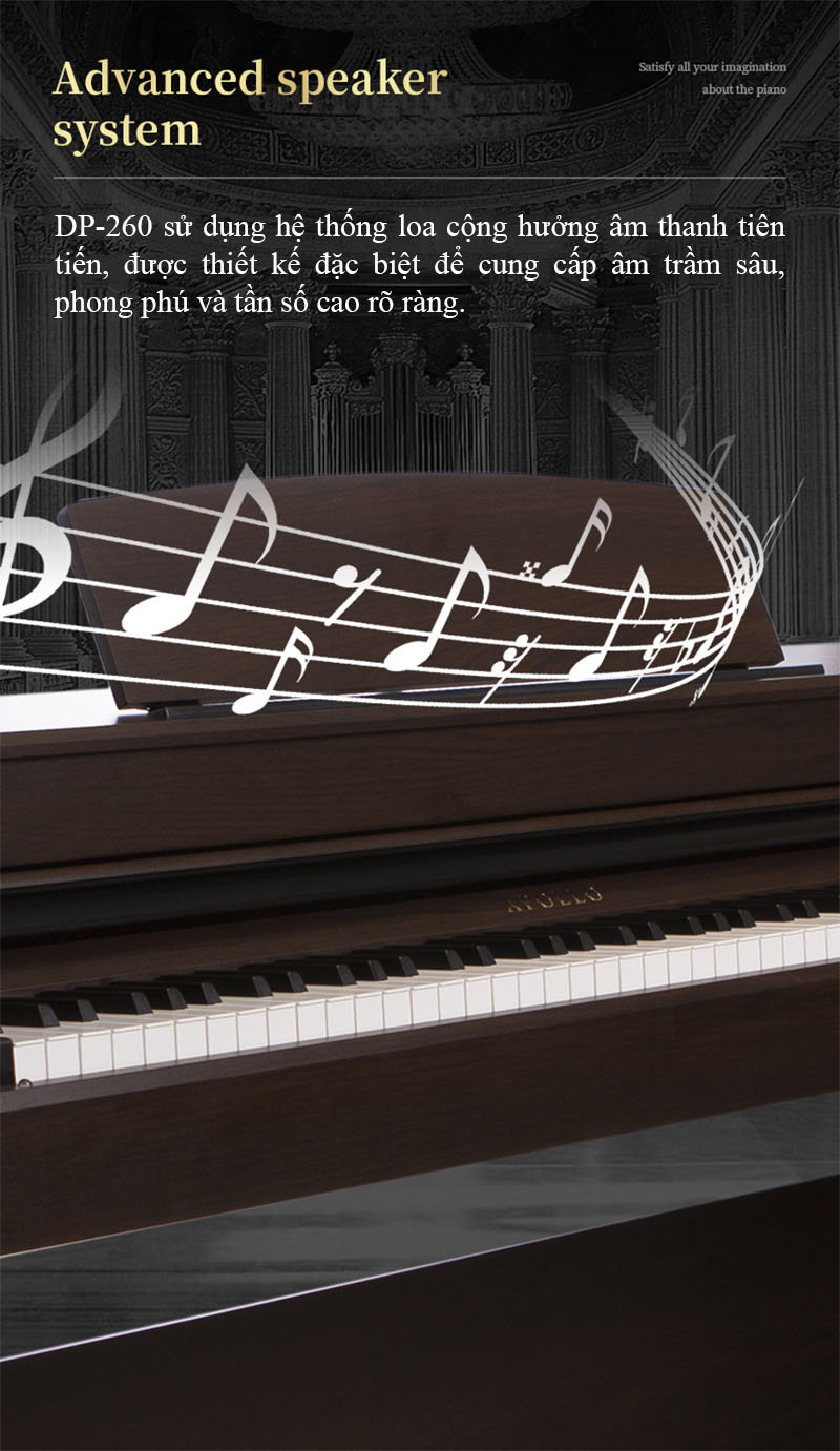 Giới thiệu về Piano Apollo DP260 (BR)