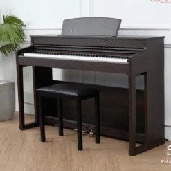 Piano Apollo DP-260 (BR): Đàn Piano Điện Chất Lượng Cao Dành Cho Người Mới Bắt Đầu