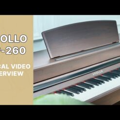 Piano Apollo DP-260N: Đánh Giá Chi Tiết, Tính Năng Và Hướng Dẫn Sử Dụng
