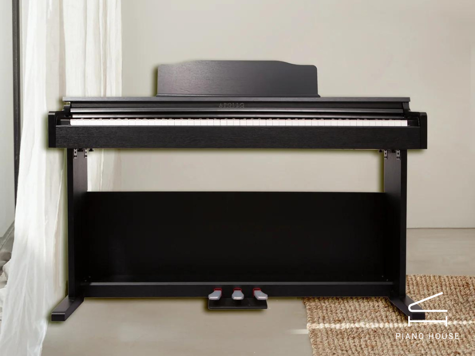Giới thiệu về Piano Apollo DP66 (BL)