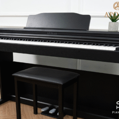 Piano Apollo DP-66 (BL): Đánh Giá Âm Thanh Chất Lượng Và Tính Năng Đa Dạng Cho Người Mới Bắt Đầu