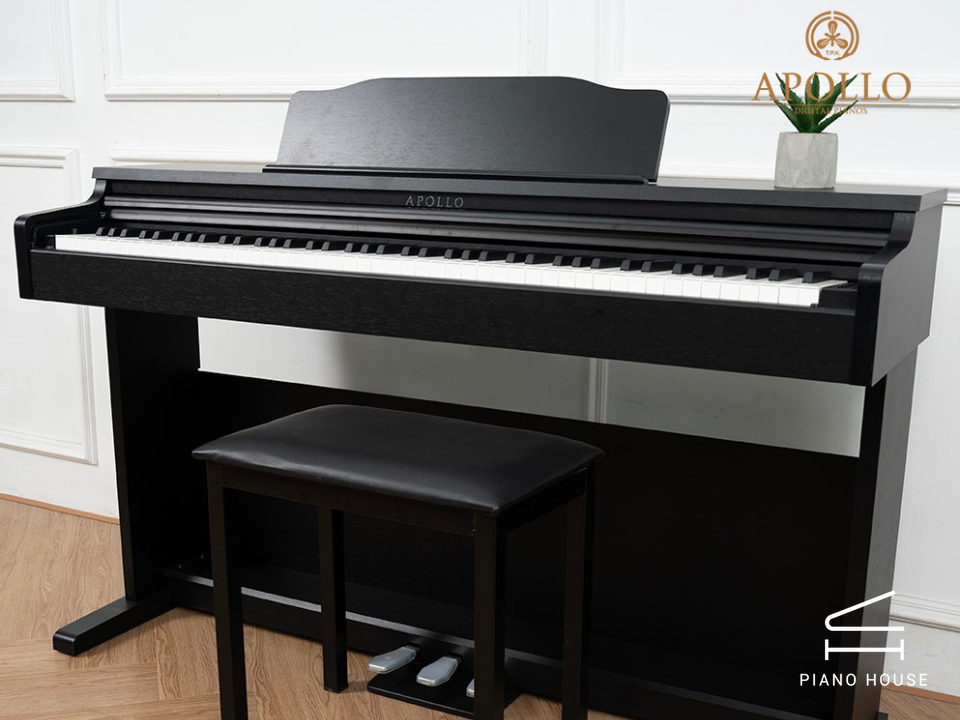 Giới thiệu về Piano Apollo DP66 (BL)
