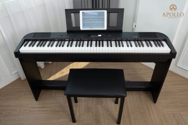 Đặc điểm nổi bật của Piano Apollo DP66 (BL)