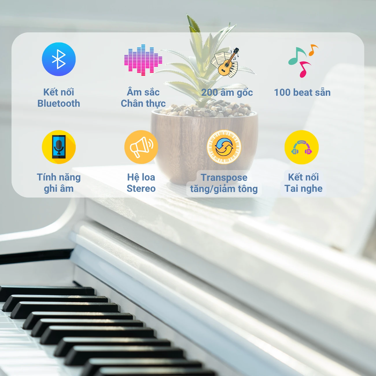 Tính năng nổi bật của Piano Apollo DP66 (BL)