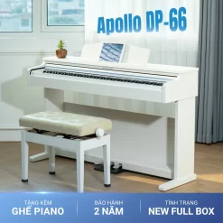 Piano Apollo DP-66 (BL): Đàn Piano Điện Tử Chất Lượng Cho Người Mới Bắt Đầu